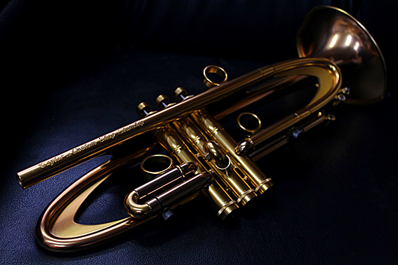 Taylor_Starship_CS_a