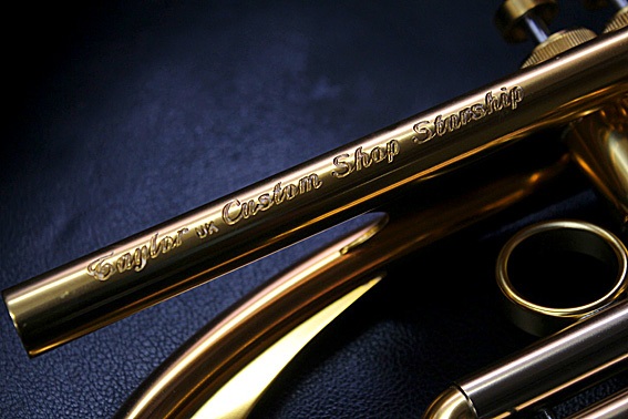 Taylor_Starship_CS_b