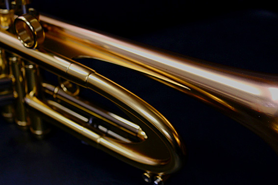 Taylor_Starship_CS_c