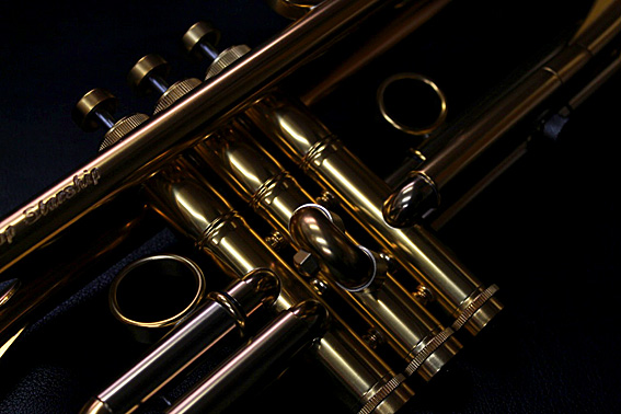 Taylor_Starship_CS_d