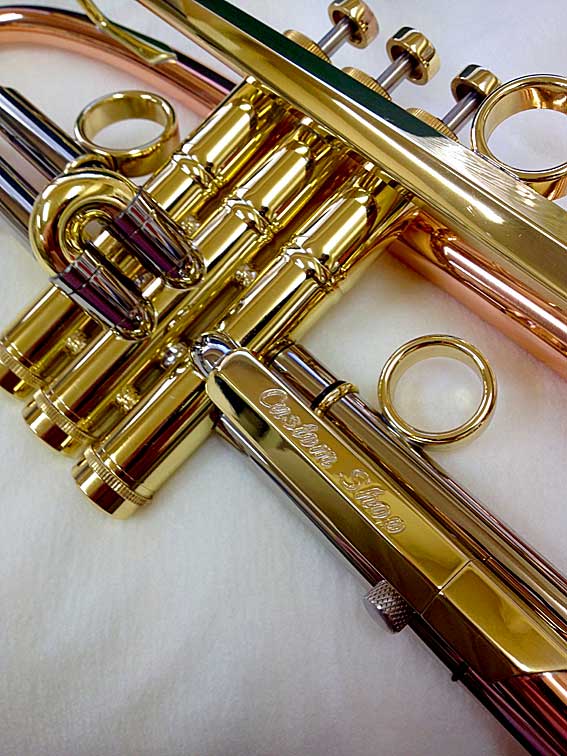 Chicago_Hybrid_Bell_b