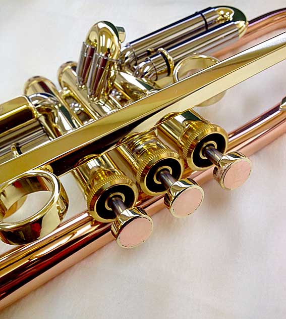 Chicago_Hybrid_Bell_c