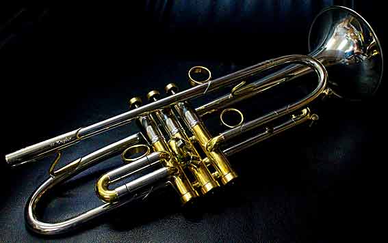 Terminator_Alternate_a