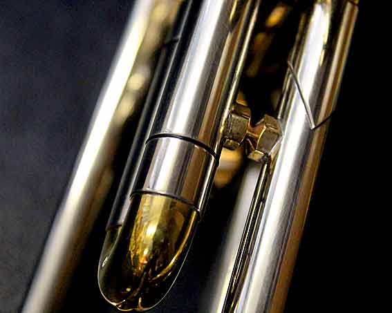 Terminator_Alternate_b