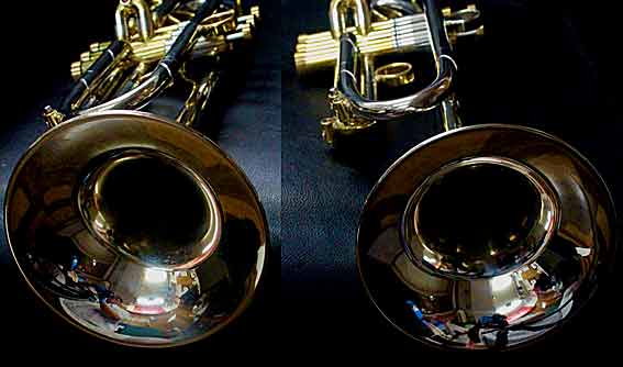 Terminator_Alternate_c