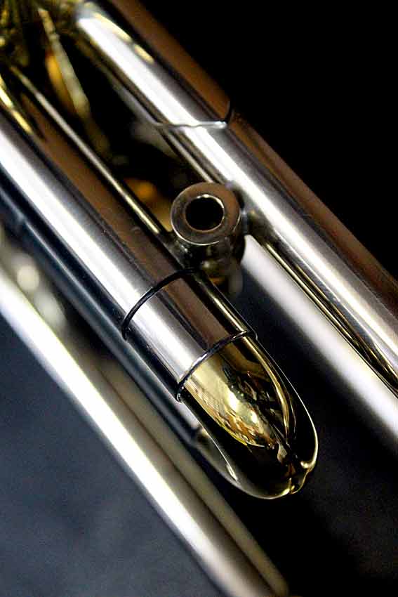 Terminator_Alternate_d