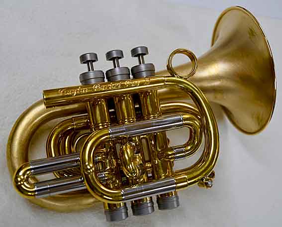 taylor_pocket_pro2_a