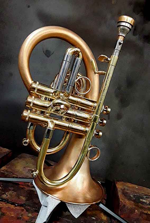 taylor_phatpuppy_e_a