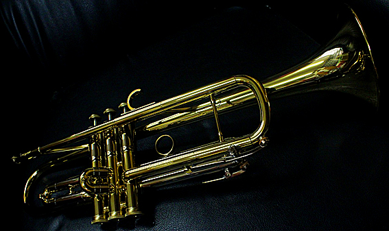 Taylor_Committee_a